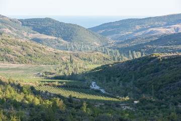 A fertile valley in the mountains of Crimea