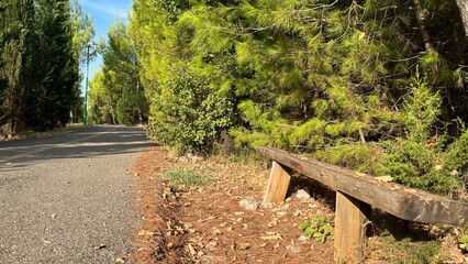 An old lonely wooden bench by the road. Photo taken in Gorica Park, Podgorica, Montenegro. High quality photo