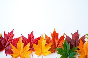 Fototapeta premium Autumn Maple Leaves Flat Lay White Background created with Generative AI