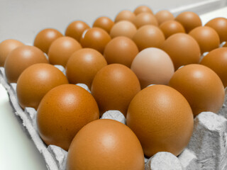 Chicken eggs for cooking