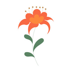 Flowers Color Icons Asset