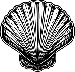 Pearl shell or sea shell icon line art