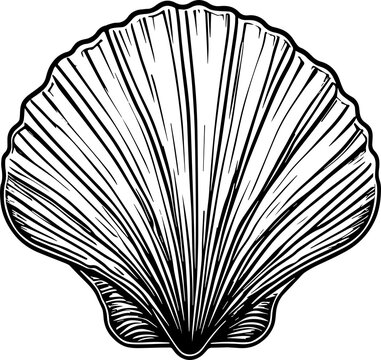 recommend clip art: Pearl shell or sea shell icon line art