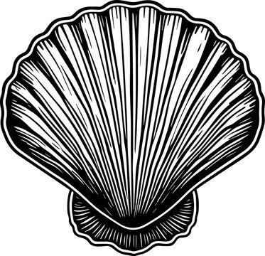 recommend clip art: Pearl shell or sea shell icon line art