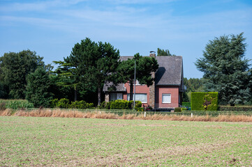 Cultivated vegetables on dry soil and farmhouse, Ternat, Belgium