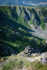 Somewhere in the Slovak Tatras. Beautiful mountain meadow.
