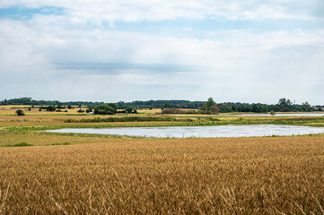 Obraz premium Colorful agriculture fields at the Danish countryside around Mosebolle, Denmark