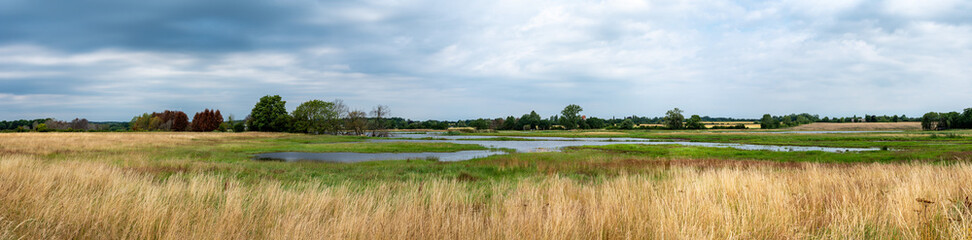 Golden wheat fields at the Danish countryside in Fakse Ladeplads, Denmark