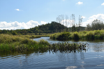 Marais Kingsbury 1 Septembre 2024