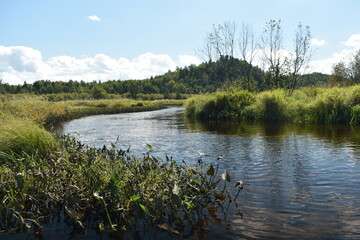 Marais Kingsbury 1 Septembre 2024