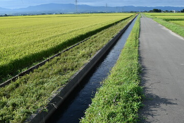 農道と農業用水路 田園風景