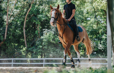 Young equestrian riding a horse amidst lush greenery on a bright summer day, showcasing...