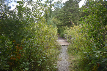 Marais Kingsbury 1 Septembre 2024