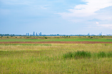 Fototapeta premium Green fields and industrial background at the Amager nature center, Copenhagen, Denmark