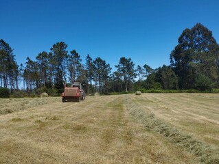 Trabajos agrarios en Lugo, Galicia