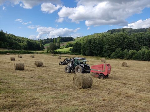 Trabajos agrarios en Lugo, Galicia