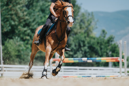 Rider on a brown horse practicing jumping over hurdles in an outdoor arena with trees and mountains in the background.