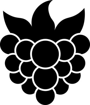 Raspberry