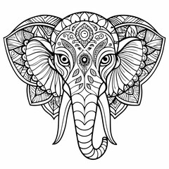 vector drawing of a butterfly