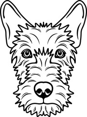 Scottish Terrier