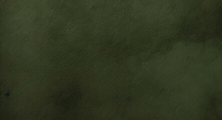 Green grunge background with violet frame. Abstract color art vintage background. Toned texture of old wood. Web banner. Wide. Panoramic. For design. Horror, fantasy, mystery, portal.