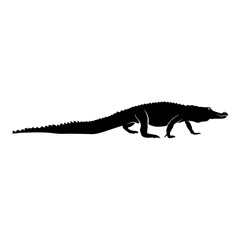 Side View of Alligator