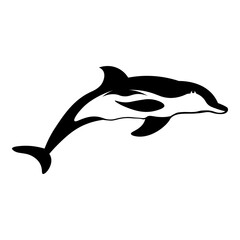 Side View of Dolphin
