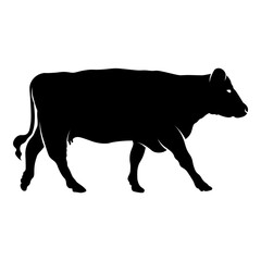 Side View of Cow