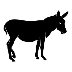 Side View of Donkey