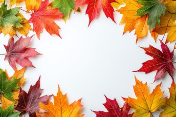 Autumn Maple Leaves Flat Lay White Background created with Generative AI