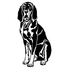 Sitting Black and Tan Coonhound