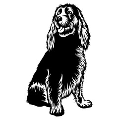 Sitting Boykin Spaniel