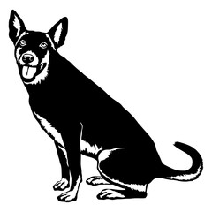 Sitting Carolina Dog