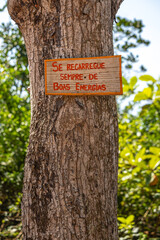 árvore com placa com frase na cidade de Aracruz, Estado do Espírito Santo, Brasil