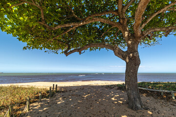 paisagem natural na cidade de Aracruz, Estado do Espírito Santo, Brasil