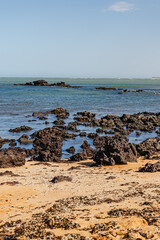 paisagem natural na cidade de Aracruz, Estado do Espírito Santo, Brasil