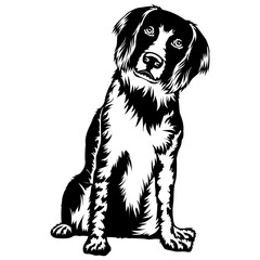 Sitting Large Munsterlander