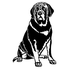 Sitting Mastiff