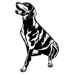 Sitting Redbone Coonhound