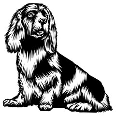 Sitting Sussex Spaniel
