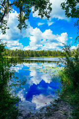 Obraz premium Tampa, FL, USA: 09 01 2024: The landscape of lake park in Tampa, Florida