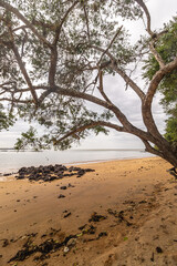 praia na cidade de Aracruz, Estado do Espírito Santo, Brasil