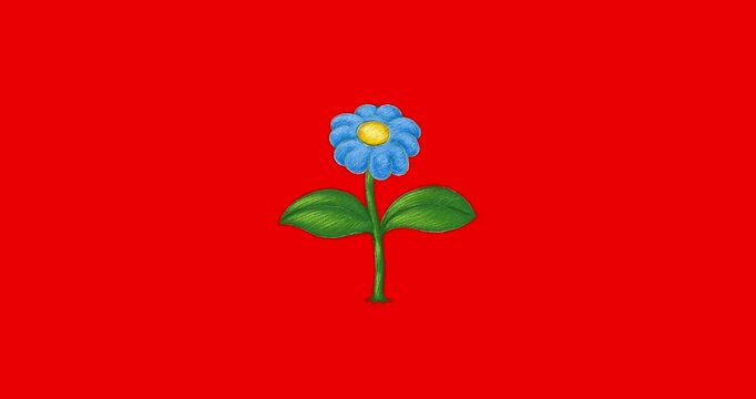 Cartoon blue flower growing red screen. From seed to plant. Redbox isolated cute plant with green leaves. Happy flower growing very fast. Good for any animated garden. Flower or treegrow.