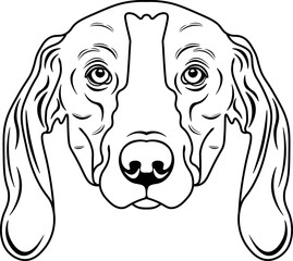 Treeing Walker Coonhound