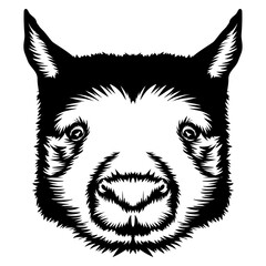 Wombat Face