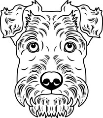 Welsh Terrier