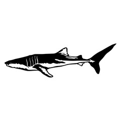 Whale Shark