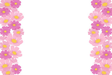 満開になったピンクのコスモスの花のベクター背景画像