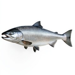 Naklejka premium A large fish with a black mouth and white spots