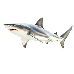 Naklejka premium A shark is swimming in the ocean with its mouth open